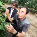 이영재농장 이미지