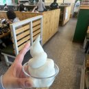 샤브마니아 세종점 | 세종 맛집 세종시청 맛집 샤브샤브 무한리필 샐러드바 샤브마니아 세종시청점 주말 예약 방문 후기