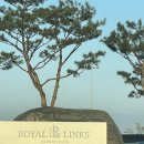 씨유 강남CC점 | 태안 골프장 추천, 로얄링스cc 3부 라운딩 후기