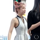 솔라 이미지