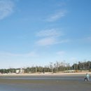 춘장대여기 이미지