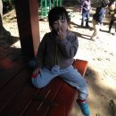 행복숲어린이집 이미지