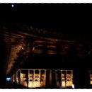 달빛에 물들이고 이미지