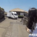댕타운 Daum카페