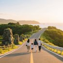 제주야애월 민박 | 제주 한달살기 준비법 (예산, 숙소, 일정)