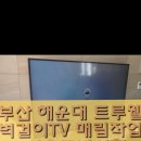 (주)트루웰