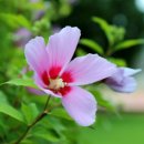 구림산책길 이미지