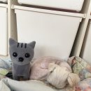 퍼니펫 동물병원 이미지