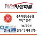 현대카스팀세차