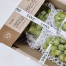 초록마을세탁 이미지