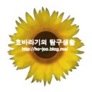 이마트 트레이더스에서 추석장보기