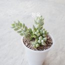 태훈농장 이미지