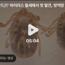 [단독] '살인진드기' 바이러스 철새에서 첫 발견, 방역망 뚫고 퍼지나? 이미지