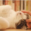 다나은메디컬 이미지