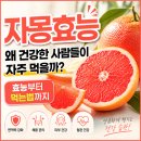 자몽효능, 왜 건강한 사람들이 자주 먹을까? 효능부터 먹는법까지