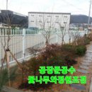 언양조경