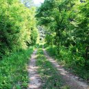 봉두슈퍼 이미지