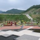 장성 꽃 화원 이미지