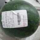 사파동242 | 맘앤맘마창원점-6월29일(화)이유식&amp;이유식재료