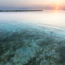 바다의숲 이미지