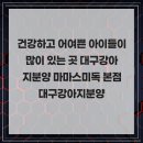 대구강아지분양 마마스미독 본점 | 건강하고 어여쁜 아이들이 많이 있는 곳 대구강아지분양 마마스미독 본점 대구강아지분양