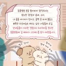 충남 동물병원 이미지