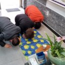 돼지공인중개사사무소 이미지