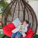 꿈꾸는동물병원 | [김포ㅣ체험] 곤충 좋아하는 아이라면 꼭! 김포 '꿈꾸는 파브르' 체험 후기 (내돈내산)