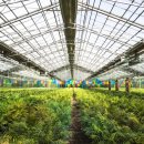 영농조합법인정원농장 이미지