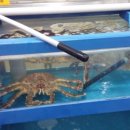 봉곡회식당 이미지