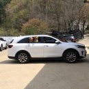 미산애견 이미지