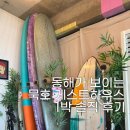 대우게스트하우스 | 묵호 숙소 추천 | 혼자 와도 좋은 가성비 숙소 & 오뚜기 칼국수