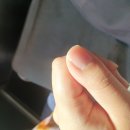내성손톱에는 바짝 깍는거 안좋대서 네모로 맨날 자르는데 이미지