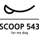 스쿱543 이미지