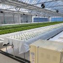 무주농장 이미지