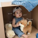 앤드픽스튜디오 | 천안 아산 돌스냅사진 촬영 후기 아기 사진 전문 앤드픽스튜디오