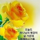 모란 이미지