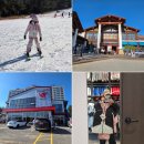 비고리조트 18 | 용평리조트 스키강습 가격 어린이 스키강습 후기