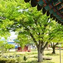 능주면 행정복지센터 이미지