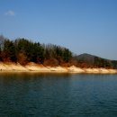 버들강아지 이미지