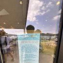 미산애견 이미지