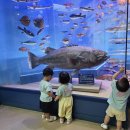 지질박물관 | [공지] 🦖 서대문자연사박물관 나들이 후기! 공룡과 지질의 세계로 풍덩~