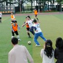 인조잔디구장 이미지