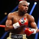 브로스 복싱 이미지