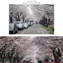 (주)꽃랜드 이미지