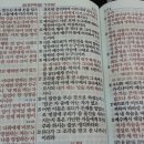풀꽃동산작은도서관 이미지