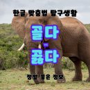 골다