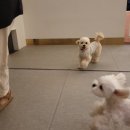 (주)바우라움 이미지