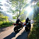 베스트목장 이미지