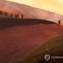 광신디자인그룹 이미지